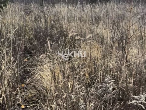 selo-bezvodnoe-kstovskiy-rayon фото