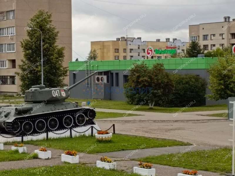 трёхкомнатная квартира на улице Танковая дом 20 Новосмолинский сп.