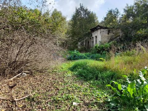 derevnya-boyarskoe-sokolskiy-gorodskoy-okrug фото