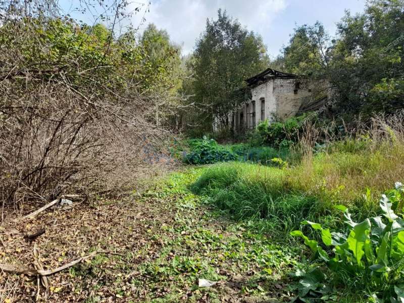 земельный участок 500 соток - деревня Боярское