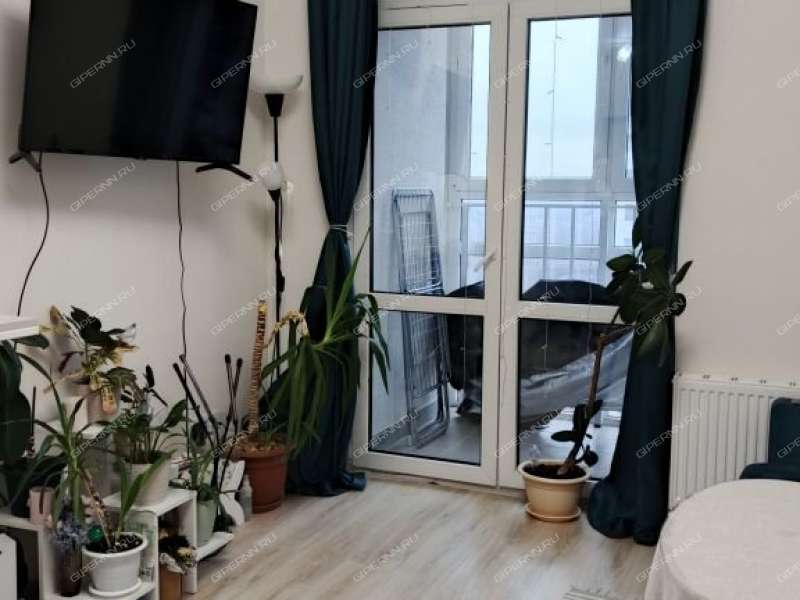 однокомнатная квартира на Русская ул дом 16 Анкудиновка