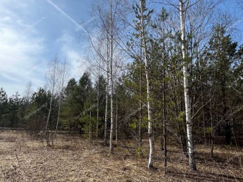 derevnya-kileley-bogorodskiy-municipalnyy-okrug фото