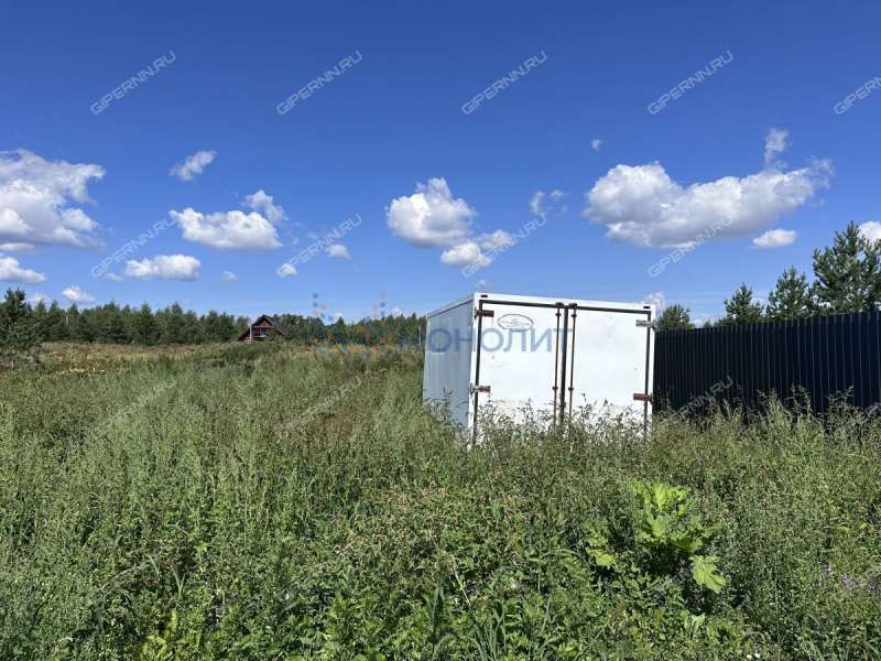 земельный участок 16 соток Ягодная улица село Дуденево