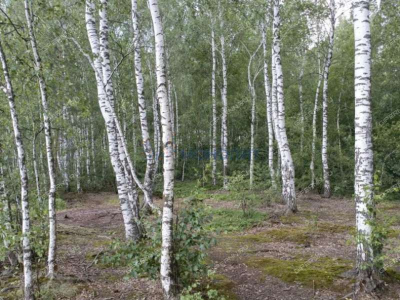 дом на улице Озерная посёлок Железнодорожный (Ситниковский сельсовет