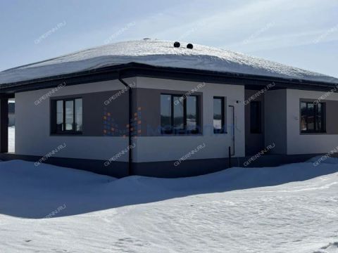 dom-derevnya-berezovka-bogorodskiy-municipalnyy-okrug фото