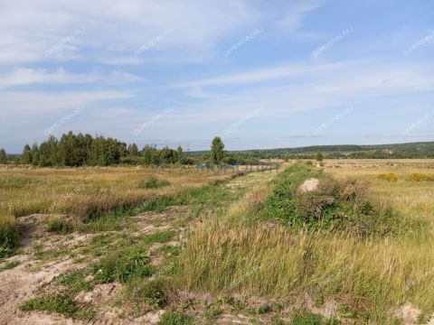 derevnya-kubaevo-bogorodskiy-municipalnyy-okrug фото