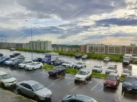 2-komnatnaya-ul-2-ya-dorozhnaya-d-29 фото