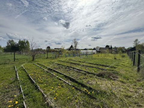 dom-derevnya-sitnikovo-gorodskoy-okrug-bor фото