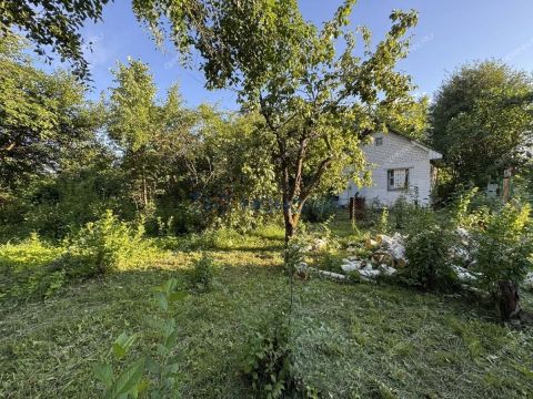 dacha фото