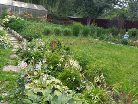 dacha-gorod-bor-gorodskoy-okrug-bor фото