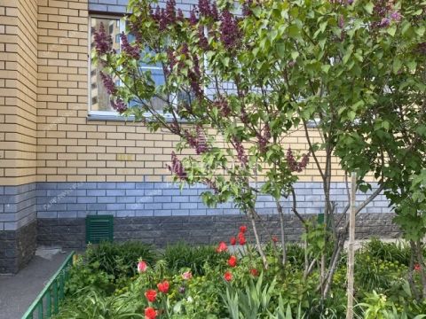 1-komnatnaya-ul-rodionova-d-193-k4 фото