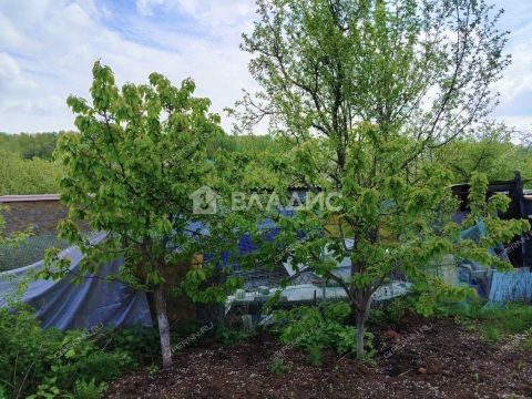 dacha-sadovodcheskoe-tovarishhestvo-priokskoe-bogorodskiy-municipalnyy-okrug фото