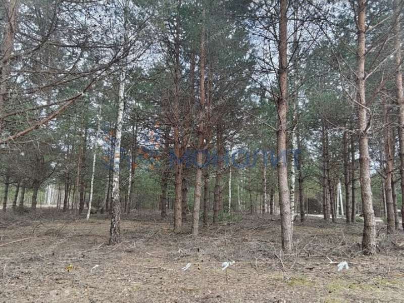 земельный участок 16 соток Ореховая улица Ивановское слобода