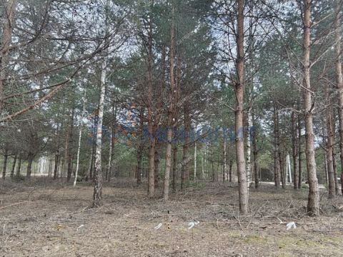 ivanovskoe-sloboda-gorodskoy-okrug-bor фото