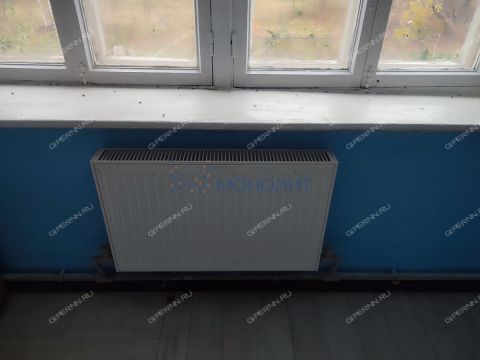 selo-smolki-gorodeckiy-rayon фото