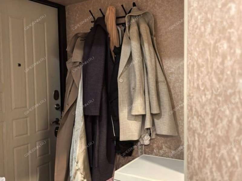 однокомнатная квартира на Агрономической улице дом 191