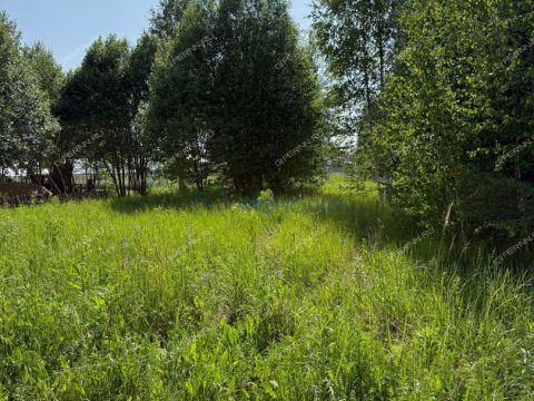 selo-diveevo-diveevskiy-municipalnyy-okrug фото