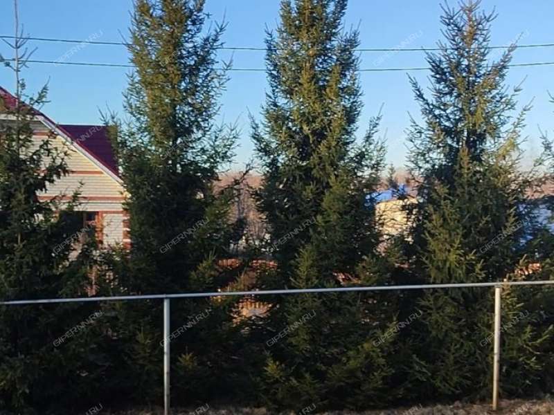 двухкомнатная квартира на Полевой улице дом 10 деревня Новоликеево