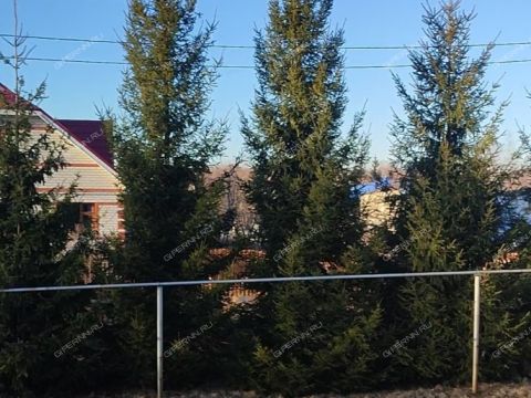 2-komnatnaya-derevnya-novolikeevo-kstovskiy-rayon фото