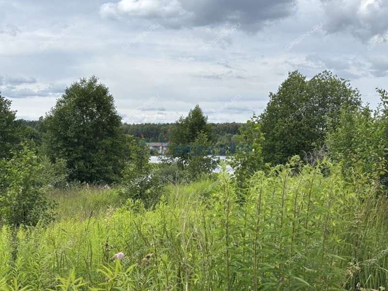 земельный участок 8 соток Рябинино сад