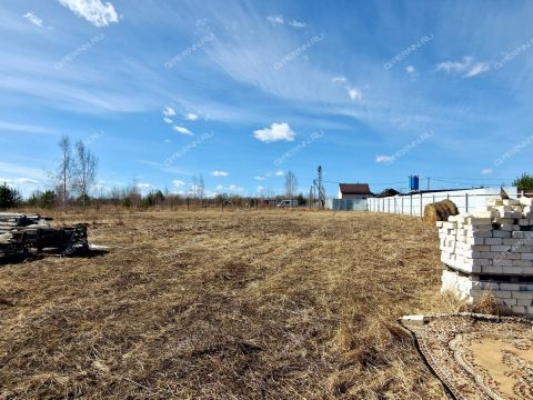 derevnya-krivaya-sheloksha-kstovskiy-rayon фото