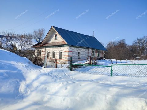 dom-selo-shava-kstovskiy-rayon фото