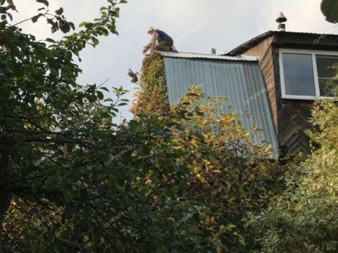 dacha-dzerzhinec-ter-snt-gorodskoy-okrug-dzerzhinsk фото