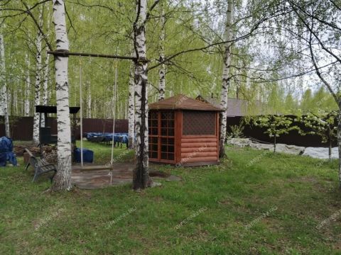 derevnya-lindo-pustyn-gorodskoy-okrug-bor фото
