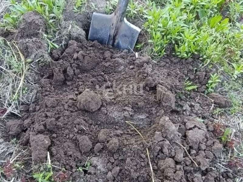 дача на Набережной улице город Городец