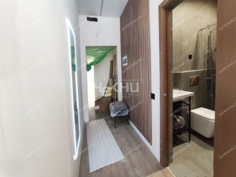 1-komnatnaya-ul-alekseevskaya-d-24-27 фото