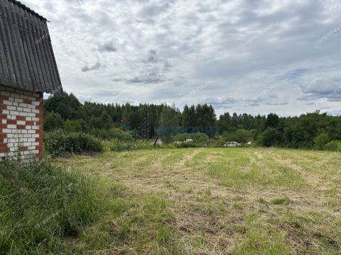 ryabinino-sad-gorodskoy-okrug-chkalovsk фото