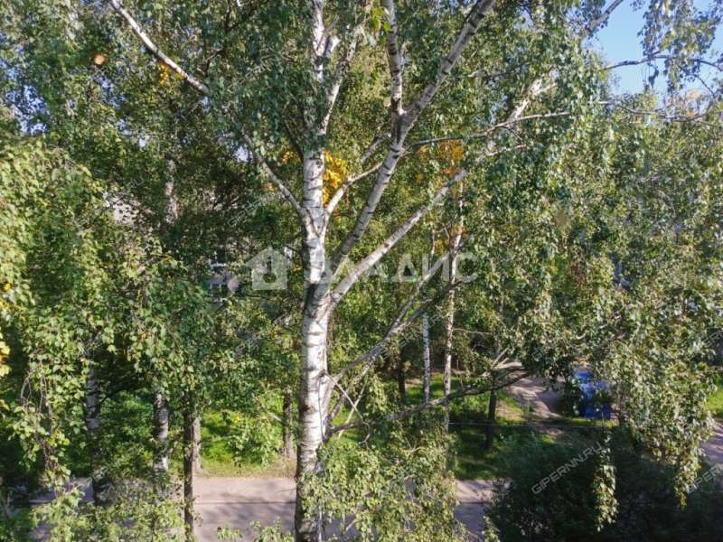 двухкомнатная квартира на улице Адмирала Васюнина дом 3