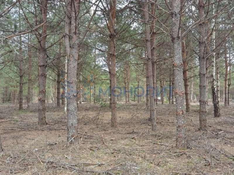земельный участок 8 соток Ореховая улица Ивановское слобода
