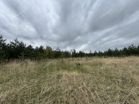 derevnya-nepecino-bogorodskiy-municipalnyy-okrug фото