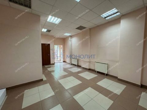 ul-aleshi-peshkova-d-40a фото