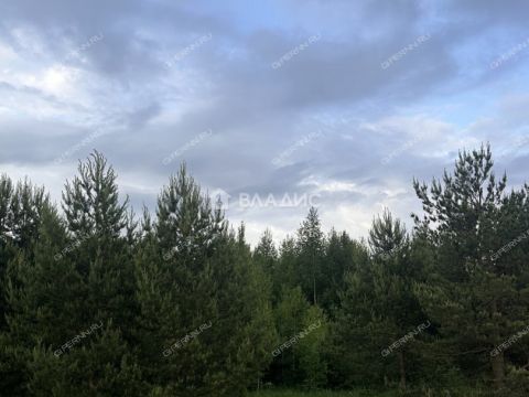 sherstnevo-gorodskoy-okrug-bor фото
