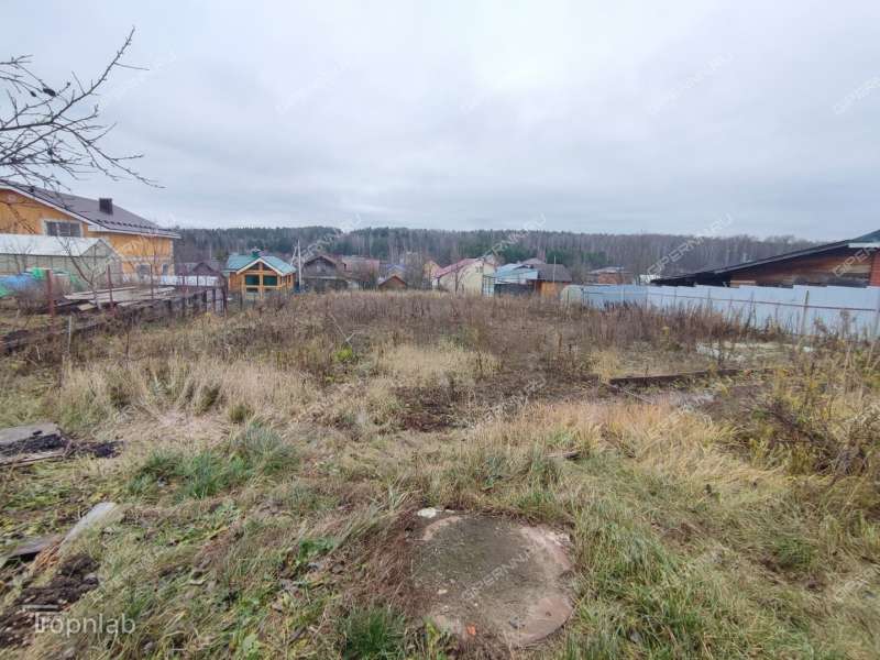 дом на 39 деревня Фроловское