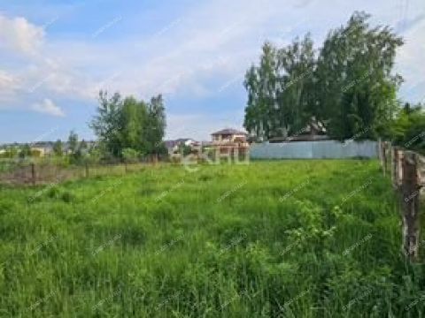 derevnya-malaya-elnya-kstovskiy-rayon фото