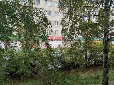 1-komnatnaya-gorod-zavolzhe-gorodeckiy-rayon фото