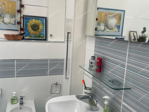 dom-derevnya-shumilovo-bogorodskiy-municipalnyy-okrug фото