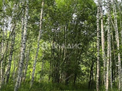 selo-kadnicy-kstovskiy-rayon фото