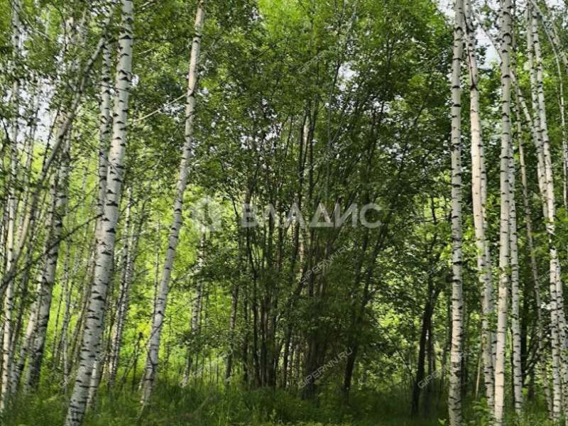 земельный участок 15 соток Восточная улица село Кадницы