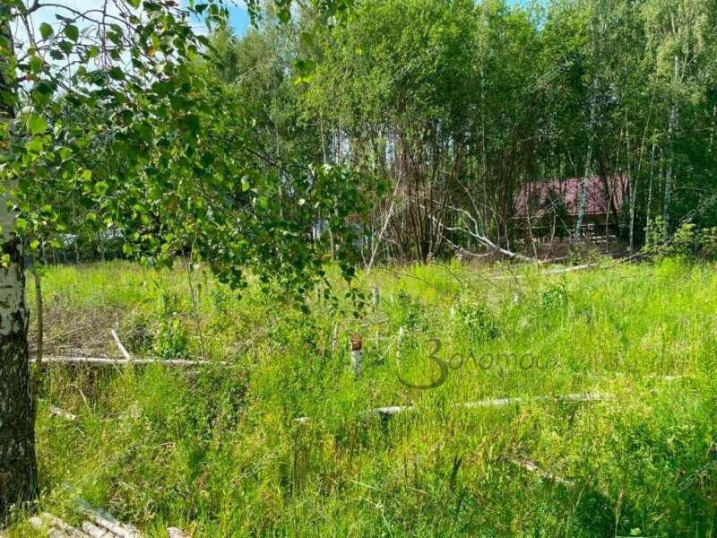 земельный участок 10 соток село Елховка