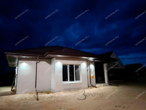 kottedzh-derevnya-elevaya-gorodskoy-okrug-bor фото