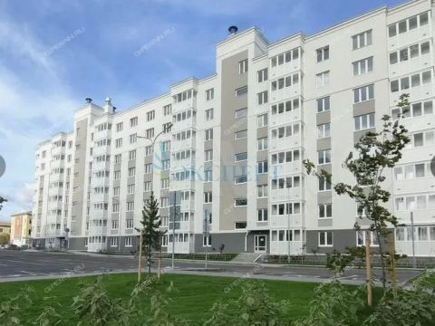 2-komnatnaya-gorod-bor-gorodskoy-okrug-bor фото