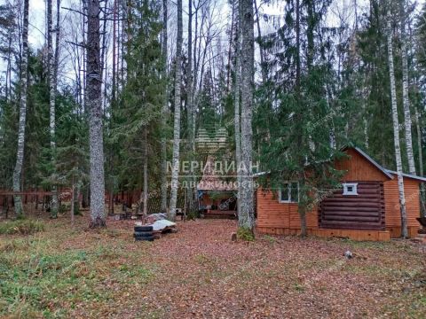 dacha-selo-vershilovo-gorodskoy-okrug-chkalovsk фото