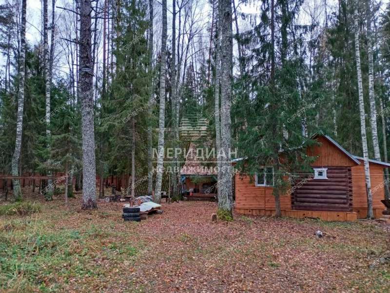 дача на 71 квартал Городецкого лесхоза Пуреховского лесничества село Вершилово