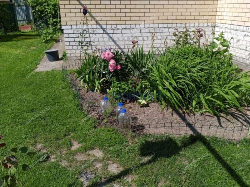 коттедж на Шушенской улице