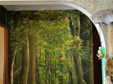 2-komnatnaya-ul-geroya-yuriya-smirnova-d-27 фото