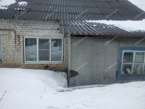 dom-selo-nikolaevka-gorodskoy-okrug-pervomaysk фото